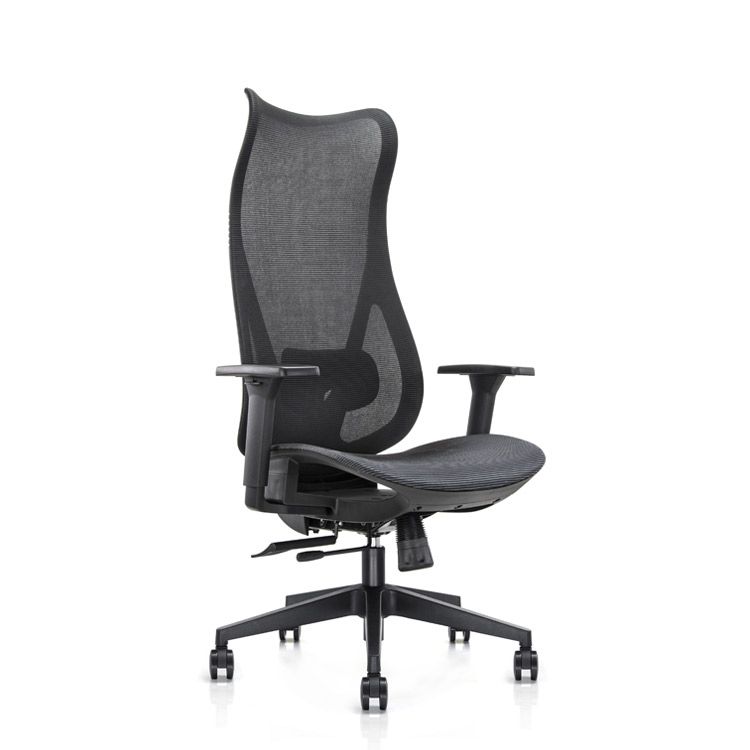 Ares Task/Meeting Chair