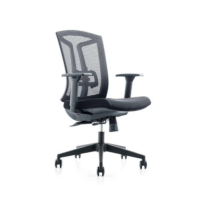 Echo Task Chair